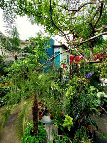 Residencial Casa Flor, AP Standard, Ponta Negra