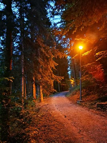 a street light on a dirt road at night at Ruža vetrova in Kušići