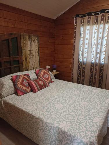 a bedroom with a bed with pillows on it at La pinza bl am in El Palmar