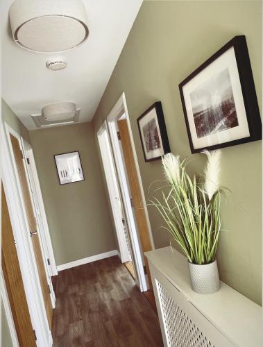 a hallway with green walls and a vase with a plant at Malva - Modern 2 Bedroom Bungalow in Wick Sleeps 4 with private parking - NC500 Route in Wick