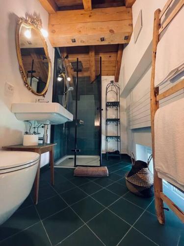 a bathroom with a shower and a toilet and a sink at Sottotetto grazioso St.Moritz in St. Moritz