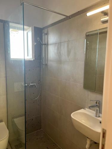a bathroom with a shower and a sink and a toilet at Krinides Place in Nerotriviá