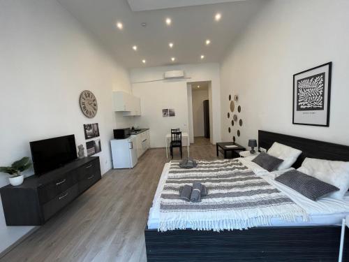 D58 Superior Apartments in the city center