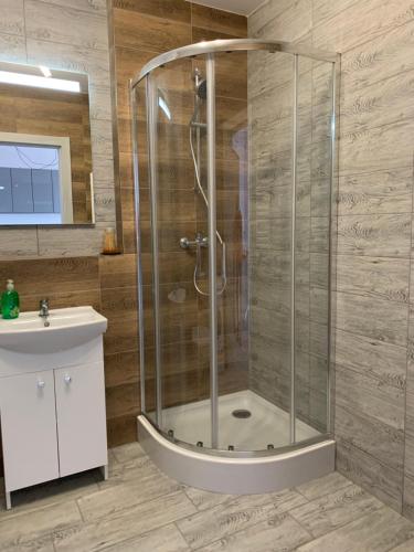 a shower stall in a bathroom with a sink at Apartamenty Wieliszew in Wieliszew