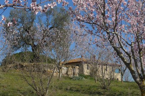 una casa de piedra en medio de un campo con árboles en Agriturismo Il Sassolino, en Ripalvella