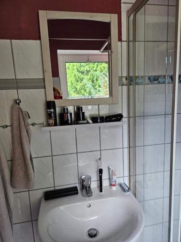 uma casa de banho com um lavatório branco e uma janela em Ferienwohnung 2 Am Park em Divitz
