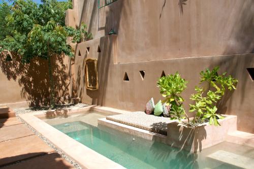 a swimming pool with plants in front of a building at Punta Navi - Adults only - Boutique hotel in Puerto Escondido