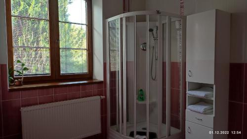 a bathroom with a shower with a glass enclosure at Villa Homestay Nad Helmrovkou in Prague
