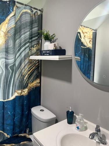 a bathroom with a toilet and a sink and a mirror at Cozy Rockford Home in Rockford