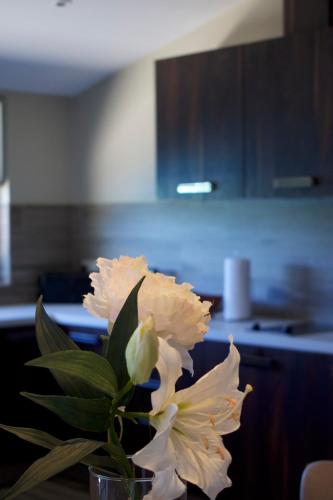 a vase with white flowers on a table in a kitchen at Secret Harbour Boutique Hotel and Marina in Lance aux Épines