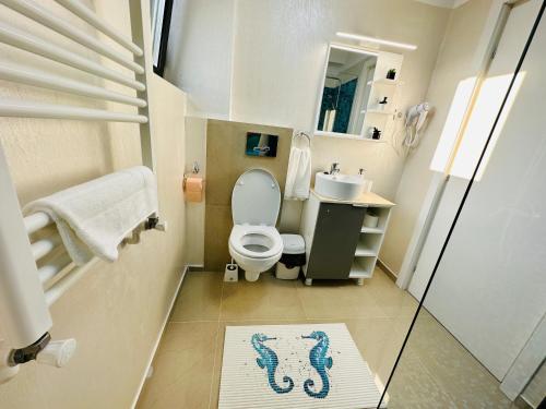 Baño pequeño con aseo y lavamanos en CCD Seaview Apartments, en Năvodari