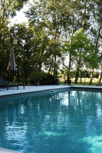 une piscine bleue avec un parasol et des arbres dans l'établissement Domaine de l'Ermitage, à Berry-Bouy