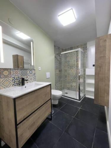 ein Bad mit einem Waschbecken, einer Dusche und einem WC in der Unterkunft Appartement en rez-de-chaussée in Hesdin
