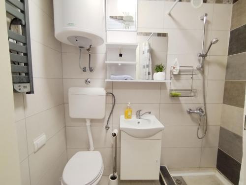 a small bathroom with a toilet and a sink at Apartman Lola Ruža in Zrenjanin