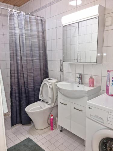 a bathroom with a toilet and a sink and a mirror at Viihtyisä saunallinen kaksio lentokentän lähellä in Vantaa