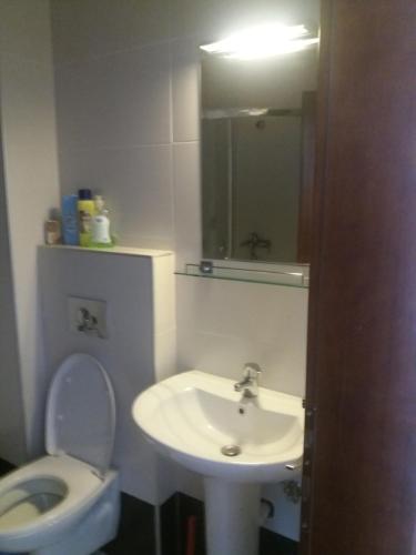ein Badezimmer mit einem weißen WC und einem Waschbecken in der Unterkunft Lucia Apartment in Budva