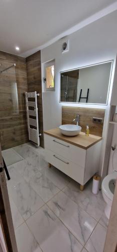 a bathroom with a sink and a toilet at Maison charmante climatisée avec aire de jeu à 35 minutes de Disneyland Paris 