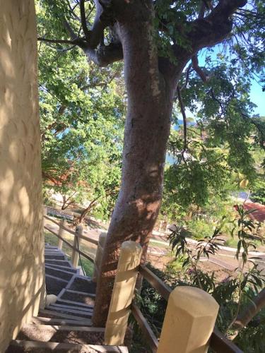 a tree next to a fence with stairs next to it at Secret Harbour Boutique Hotel and Marina in Lance aux Épines