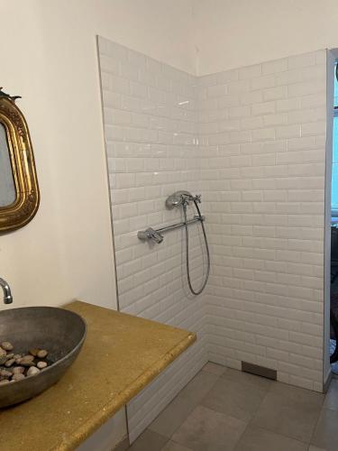 La salle de bains est pourvue d'une douche et d'un lavabo. dans l'établissement Cityapartment Josefstadt, à Vienne