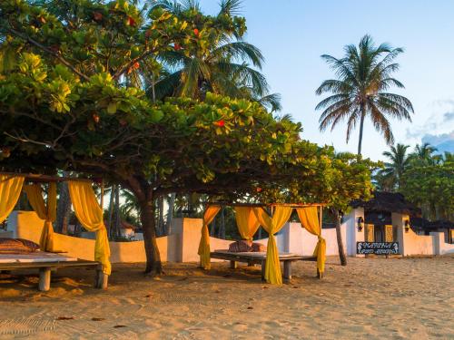 a canopy bed on the beach under a tree at Hotel Marina Porto Abrolhos in Caravellas