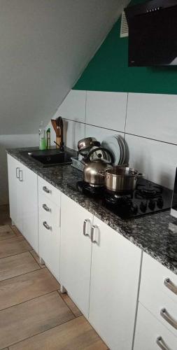 Η κουζίνα ή μικρή κουζίνα στο Noclegi nad Parsętą