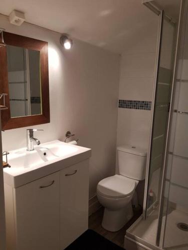 une salle de bain avec toilettes, lavabo et douche dans l'établissement Côté Château, à Chinon