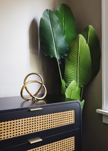 a leafy plant sitting on top of a computer at Princess Anne Boutique Hotel in Asheville