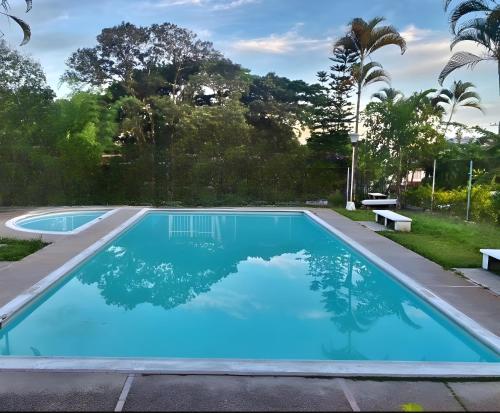 una piscina con agua azul y palmeras en BORA Apto 201 Tu espacio Fuera de Casa, en Ibagué