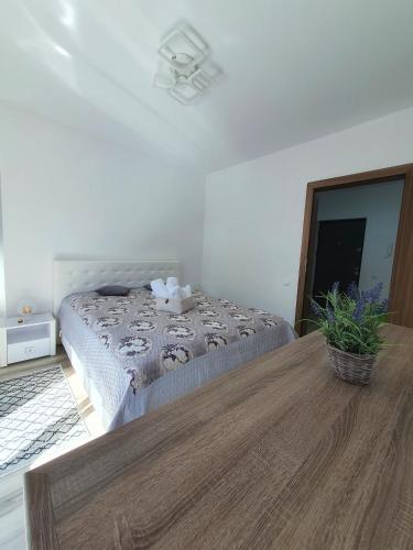 Gallery image of Minas Dream in Floreşti