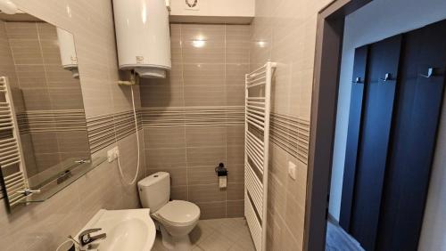 uma pequena casa de banho com WC e lavatório em Penzión Alexandra em Hokovce