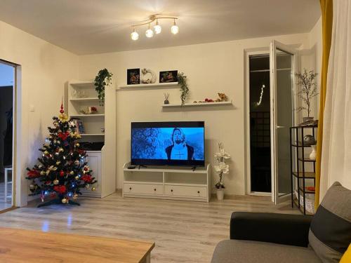 Телевизор и/или развлекательный центр в Apartman “ROSE”