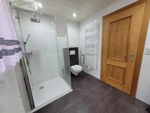 ein Bad mit einer Dusche, einem WC und einer Tür in der Unterkunft Alpenglück Montafon in Sankt Gallenkirch