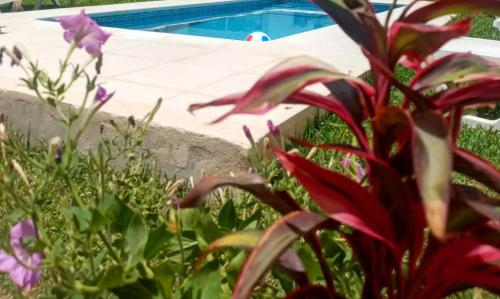 a garden with purple flowers and a swimming pool at VILLA "Mezraya" à 500 m de la plage - DJERBA in Mezraya