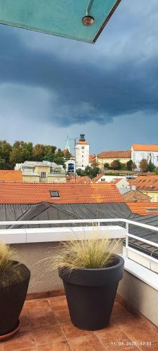 a balcony with three potted plants on a roof at Artissimo RoofTerace in Zagreb