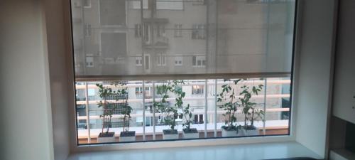 a window with a view of a building at Artissimo RoofTerace in Zagreb