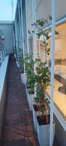 a row of potted plants on a corridor in a building at Artissimo RoofTerace in Zagreb