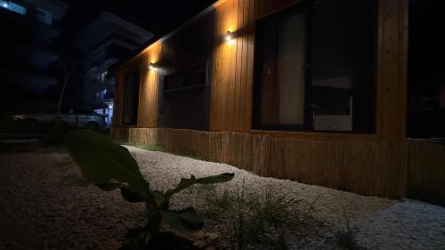 a plant in front of a building at night at Tiny House Sitesi in Alanya