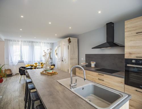 a kitchen with a sink and a counter top at Le Flamboyant - Confort & Rareté - Premium in Saint-André-les-Vergers