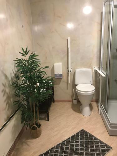 La salle de bains est pourvue de toilettes et d'une plante en pot. dans l'établissement Leirvik Vandrehjem, à Leirvik