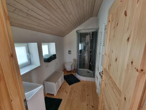 a bathroom with a walk in shower and a sink at Scheune in Ostseenähe auch mit Pferd in Ducherow