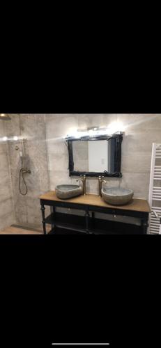 La salle de bains est pourvue d'un comptoir avec un lavabo et une douche. dans l'établissement Secret de campagne Spa, à Grisolles