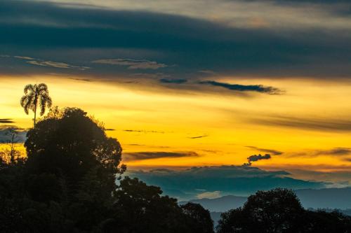 a sunset with a palm tree in the foreground at Cabaña en El Guadual in Santandercito