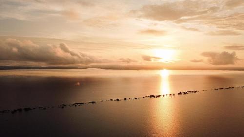 a flock of birds on the water at sunset at Uiara Amazon Resort in Manaus