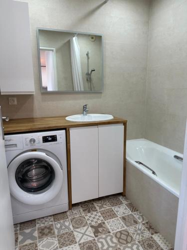 uma casa de banho com uma máquina de lavar roupa e um lavatório em Le Mimosas em Mandelieu-la-Napoule