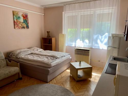 Habitación pequeña con cama y ventana en Révay Apartment en Szeged