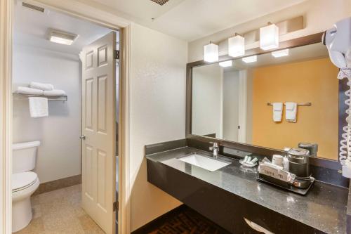 a bathroom with a sink and a toilet and a mirror at Best Western Arizonian Inn in Holbrook