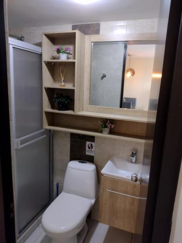 ein kleines Bad mit WC und Waschbecken in der Unterkunft Apartamento con piscina cerca al parque del café in Montenegro