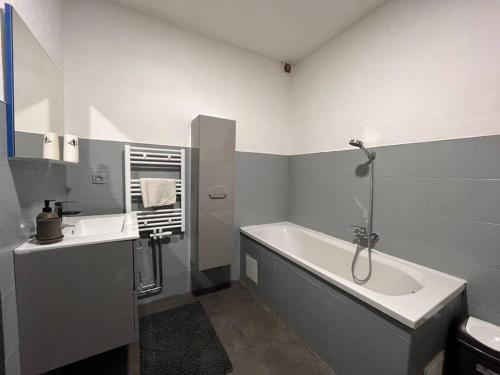 韋爾維耶的住宿－Appartement Verviers，带浴缸、水槽和浴缸的浴室