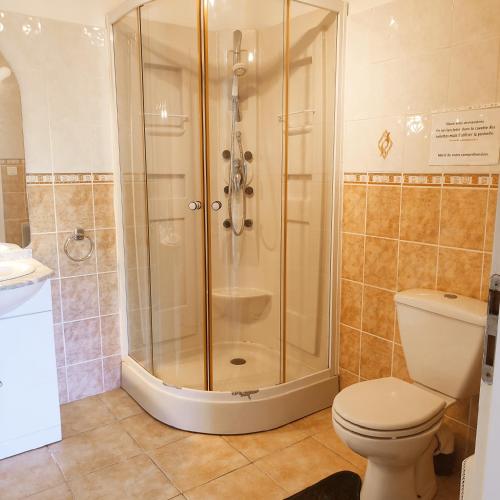 une salle de bain avec douche et toilettes dans l'établissement Orpheus83, à Saint-Raphaël