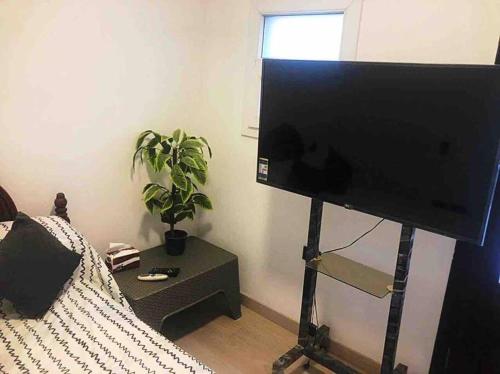 TV a/nebo společenská místnost v ubytování Rooftop Studio Apartment